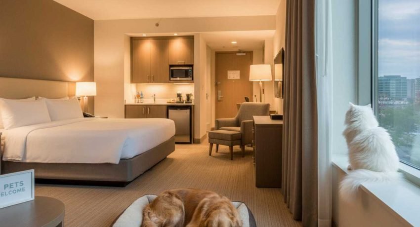 Staybridge Suites Pet Policy